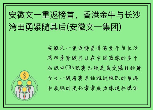 安徽文一重返榜首，香港金牛与长沙湾田勇紧随其后(安徽文一集团)