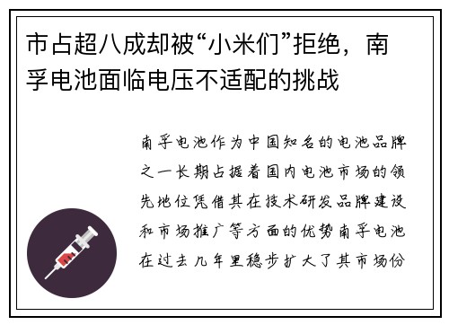 市占超八成却被“小米们”拒绝，南孚电池面临电压不适配的挑战