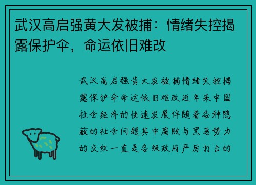 武汉高启强黄大发被捕：情绪失控揭露保护伞，命运依旧难改