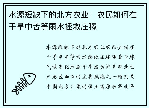 水源短缺下的北方农业：农民如何在干旱中苦等雨水拯救庄稼